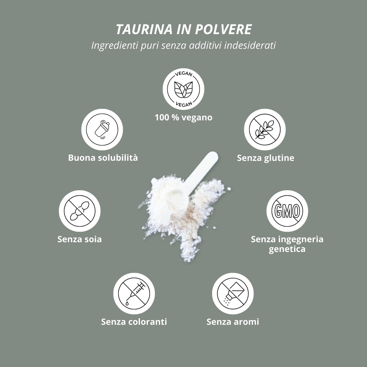 Taurina in Polvere 1 kg - ad alto Dosaggio - Base Vegetale tramite Fermentazione - Pura Taurina 1000 g - Vegana - Neutra - Naturale senza Additivi - Qualità Premium