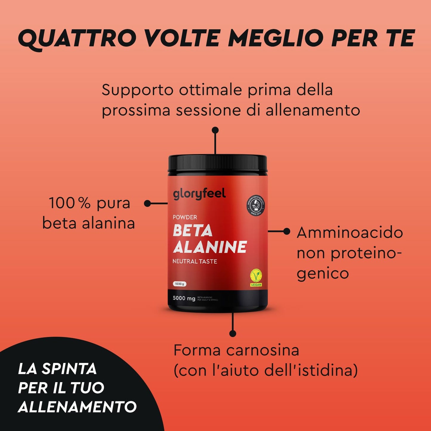 Beta Alanina in polvere 1000g - 5000mg per porzione - PreWorkout per 7 mesi - Amminoacido vegano alto Dosaggio - Beta Alanina +99% Pura, Senza additivi e Sapore neutro - Qualità testata in Laboratorio