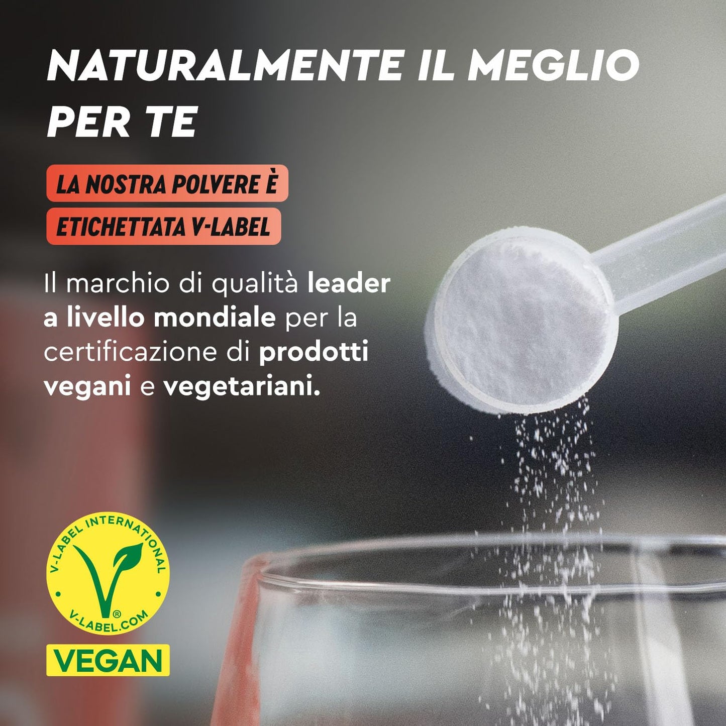 Beta Alanina in polvere 1000g - 5000mg per porzione - PreWorkout per 7 mesi - Amminoacido vegano alto Dosaggio - Beta Alanina +99% Pura, Senza additivi e Sapore neutro - Qualità testata in Laboratorio