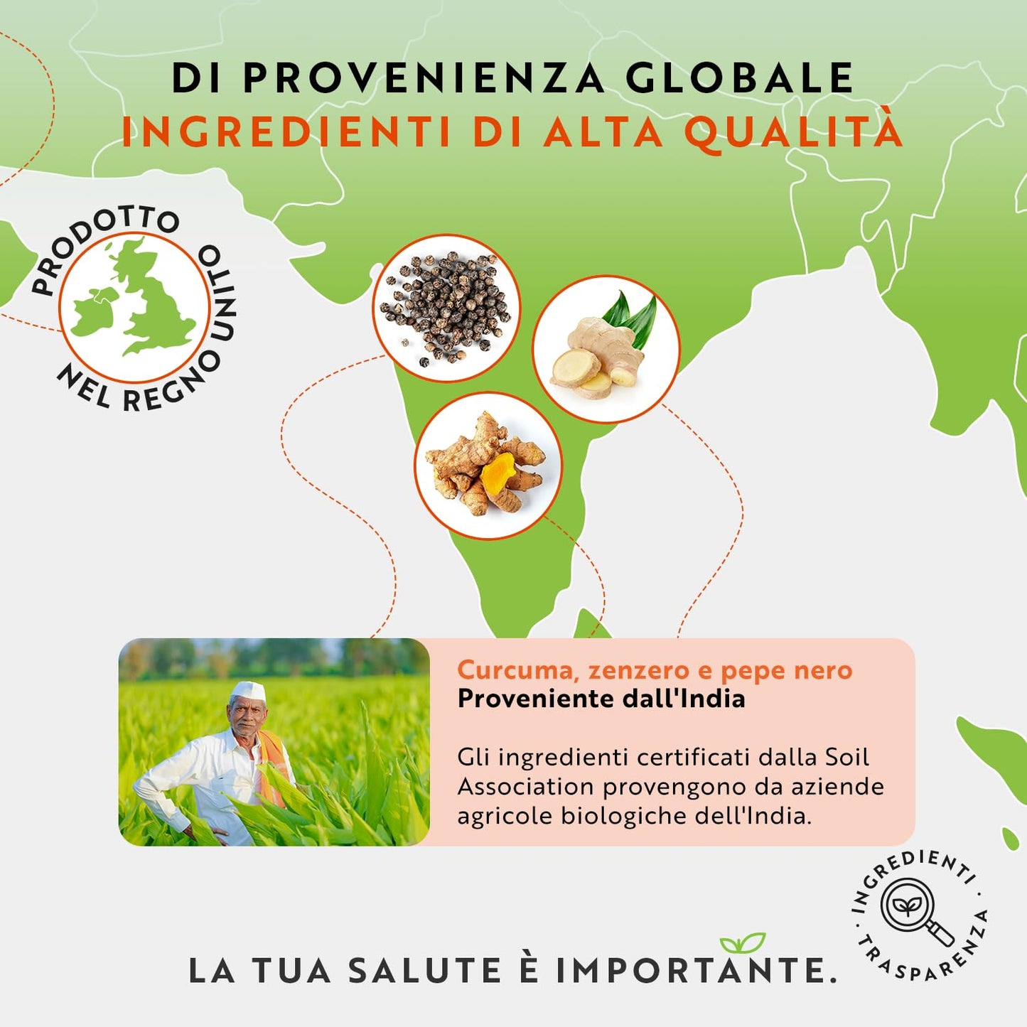 Curcuma Bio con Piperina e Zenzero - 180 Capsule di Curcuma e Piperina Vegana ad Alto Dosaggio (Fornitura per 3 Mesi) - Ingrediente Attivo Curcumina - Prodotto da Nutravita
