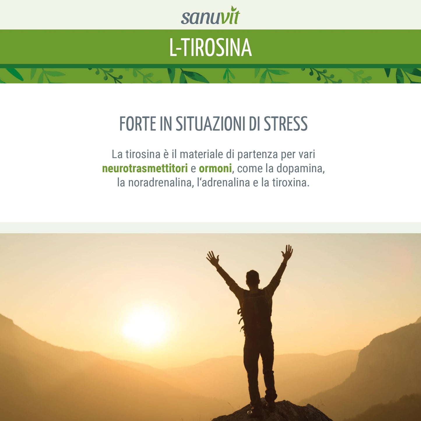 Sanuvit® - L-tirosina 800 mg per capsula | 180 capsule | Dose alta | Amminoacido | Elevata biodisponibilità e tolleranza | Vegano