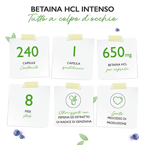 Betaine HCL - 240 capsule da 695 mg - Premium: Con pepsina e genziana amara - Enzimi digestivi a spettro completo - Dose elevata