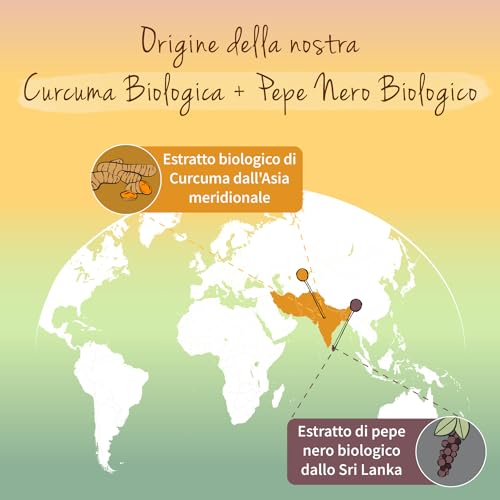 Curcuma e Piperina Plus | 14620 mg di curcuma in polvere (7:1 – 60:1) | con Piperina | Salute Articolazioni e Fegato | Antinfiammatorio e antiossidante | No OGM | Vegan | Vegavero®