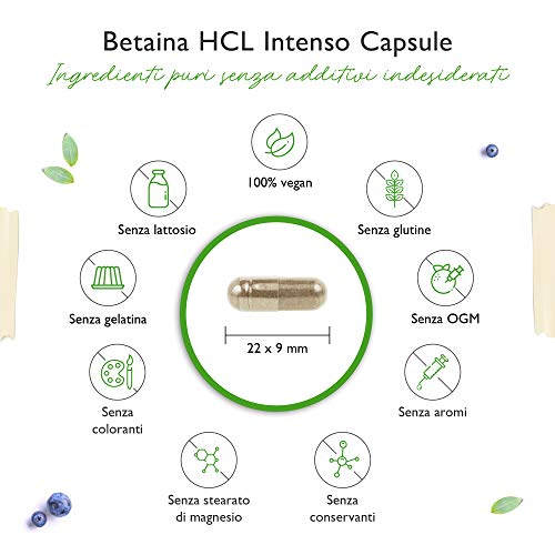 Betaine HCL - 240 capsule da 695 mg - Premium: Con pepsina e genziana amara - Enzimi digestivi a spettro completo - Dose elevata