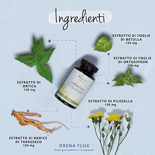 DRENANTE Forte Vegavero® | 100% NATURALE | con Pilosella, Tarassaco, Orthosiphon, Ortica e Betulla | 4 Mesi di Fornitura | Diuretico per Ritenzione Idrica Gambe | Detox Naturale | Vegan