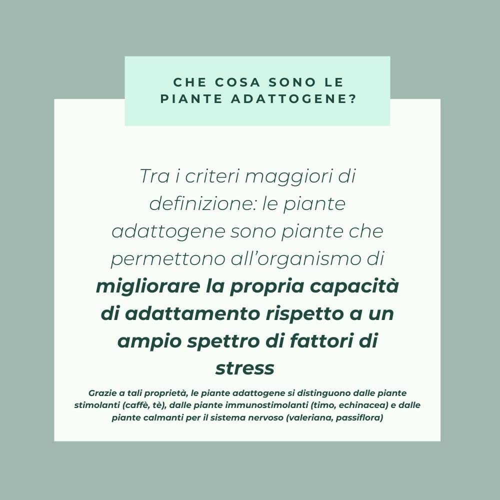 2 Piante adattogene | Ashwagandha Bio KSM-66®, Rodiola rosea Bio | Antistress - sonno - equilibrio emozionale - apprendimento I INOLAB Laboratorio Serenityform