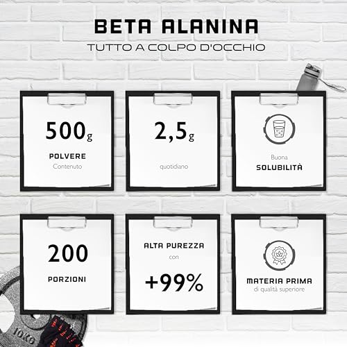 Beta Alanina - 500 g di polvere pura senza additivi - +99% di purezza - 100% aminoacido Beta Alanina - Vegan - German Elite Nutrition