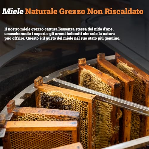 Q Honey Miele Naturale Grezzo 1 kg | Miele di Millefiori | 100% Puro Miele, Non Filtrato - Direttamente Dall'alveare