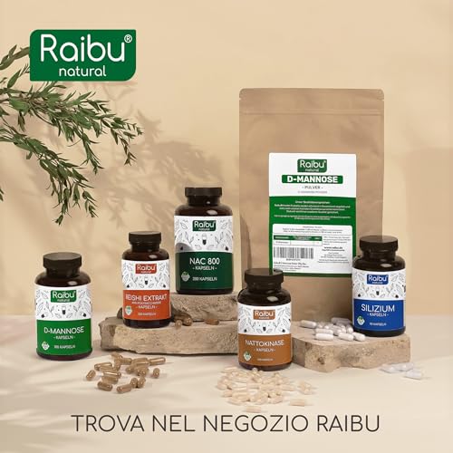 NAC N-Acetil-Cisteina 600mg - 200 capsule - 100% NATURALE - Vegano e senza additivi - Altamente dosato - Qualità Premium - Prodotte da Raibu