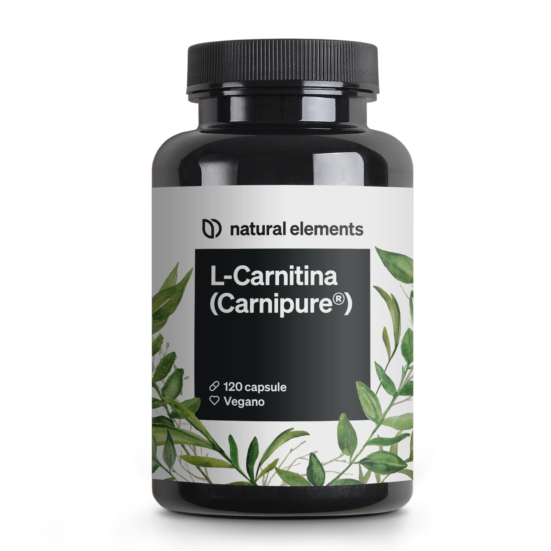 l carnitine tablet or liquid which is better L-Carnitine Liquid 16 fl oz