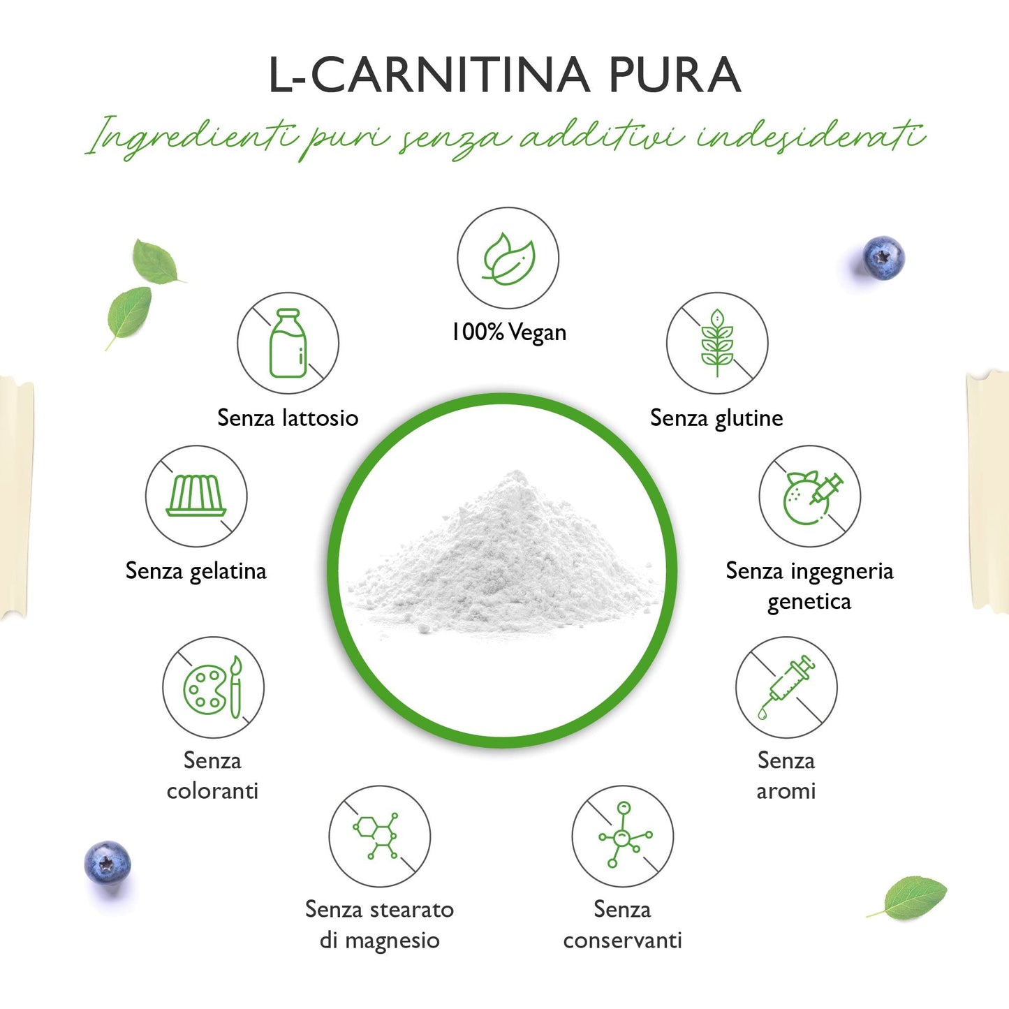 L-Carnitine Pure - 300 g di polvere pura senza additivi - 100% L-Carnitina Tartrato - 100 porzioni con 3000 mg di Carnitina in polvere - Vegan - Alto dosaggio