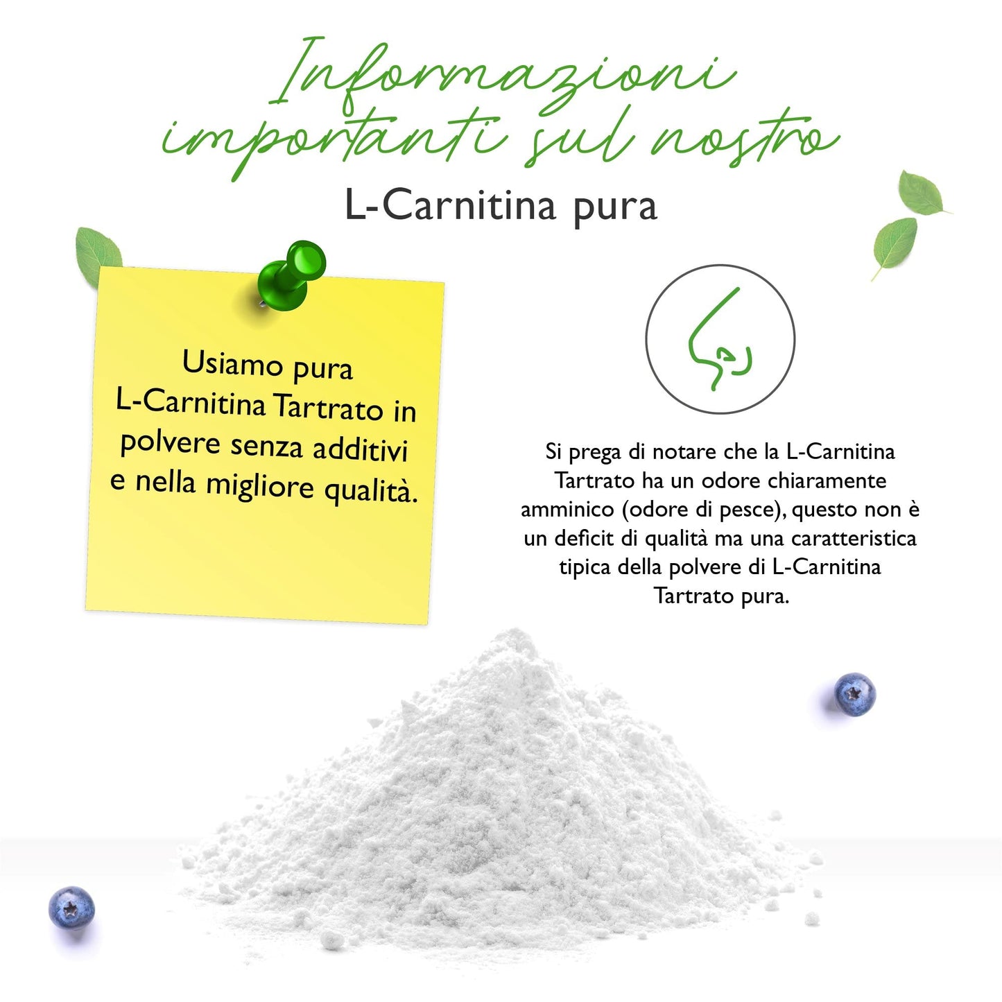 L-Carnitine Pure - 300 g di polvere pura senza additivi - 100% L-Carnitina Tartrato - 100 porzioni con 3000 mg di Carnitina in polvere - Vegan - Alto dosaggio