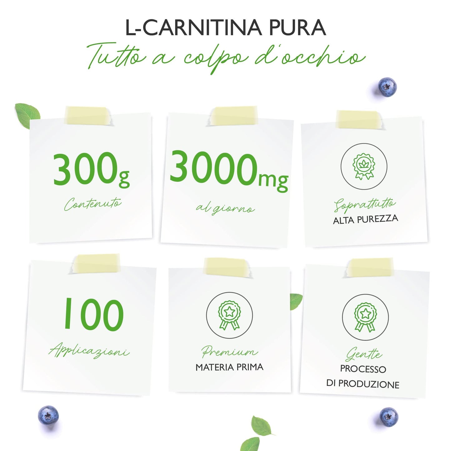 L-Carnitine Pure - 300 g di polvere pura senza additivi - 100% L-Carnitina Tartrato - 100 porzioni con 3000 mg di Carnitina in polvere - Vegan - Alto dosaggio