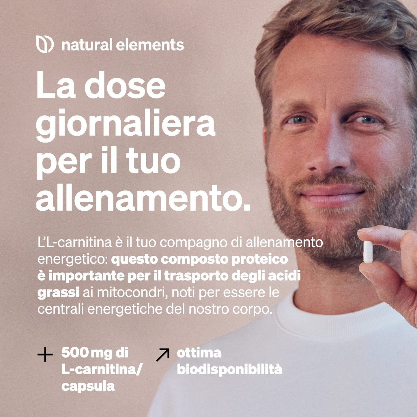 L-Carnitina Integratore 2000mg – Alta qualità: Carnipure® di Lonza – 120 capsule – natural elements – Prodotto testato in laboratorio, alto dosaggio, vegano