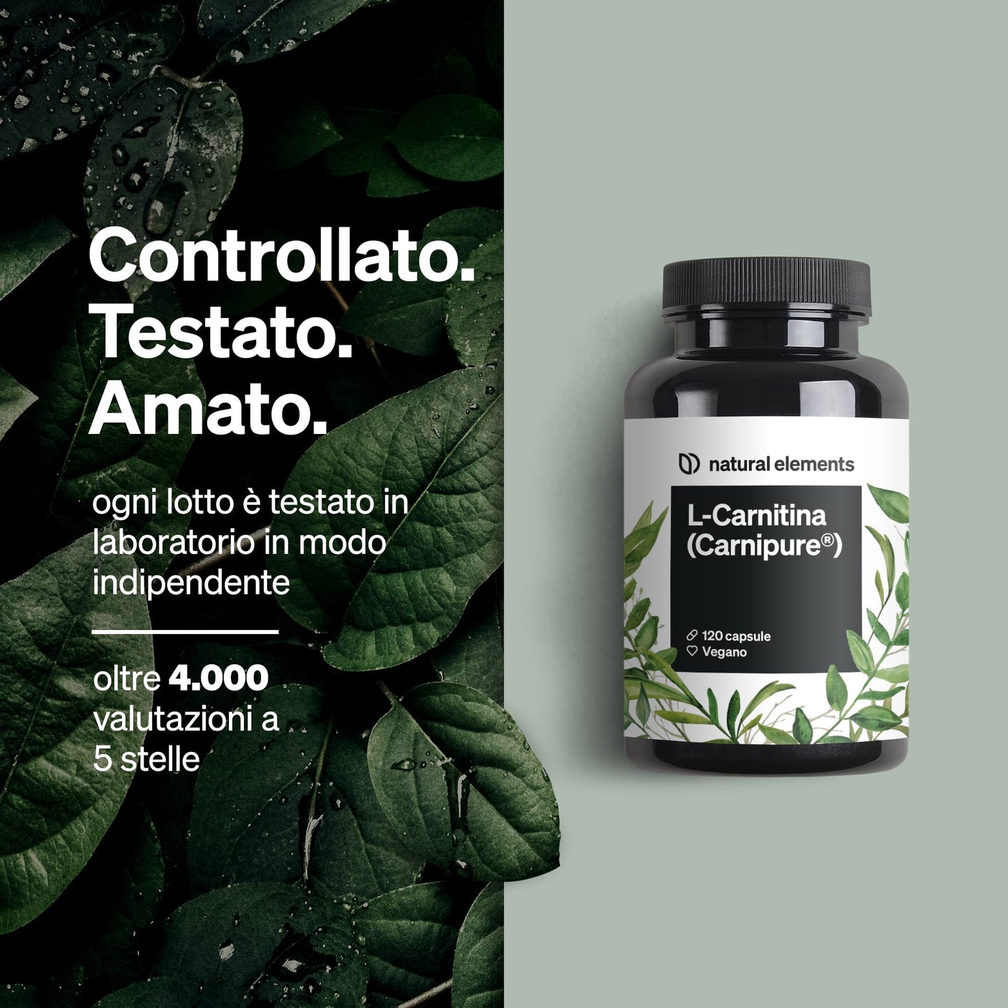 L-Carnitina Integratore 2000mg – Alta qualità: Carnipure® di Lonza – 120 capsule – natural elements – Prodotto testato in laboratorio, alto dosaggio, vegano