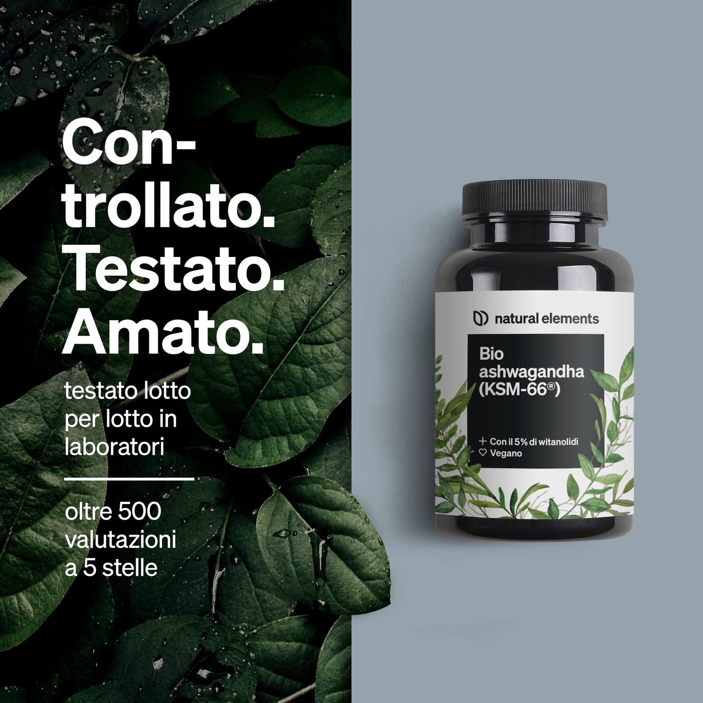 Bio Ashwagandha KSM-66 – Alto Dosaggio – 180 Capsule – Ashwagandha Bio Certificata – Capsule di Ashwagandha Polvere Estratta dalla Withania Somnifera